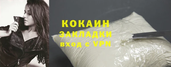 индика Аркадак