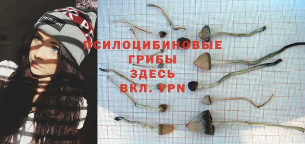 индика Аркадак